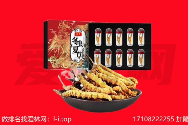 河池市凤山回收虫草.jpg
